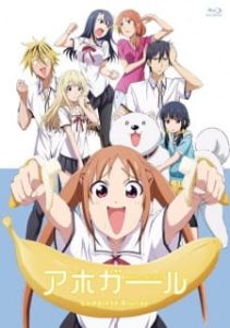 Aho Girl