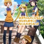 Oniichan no Koto nanka Zenzen Suki ja Nai n da kara ne!! Episode 11